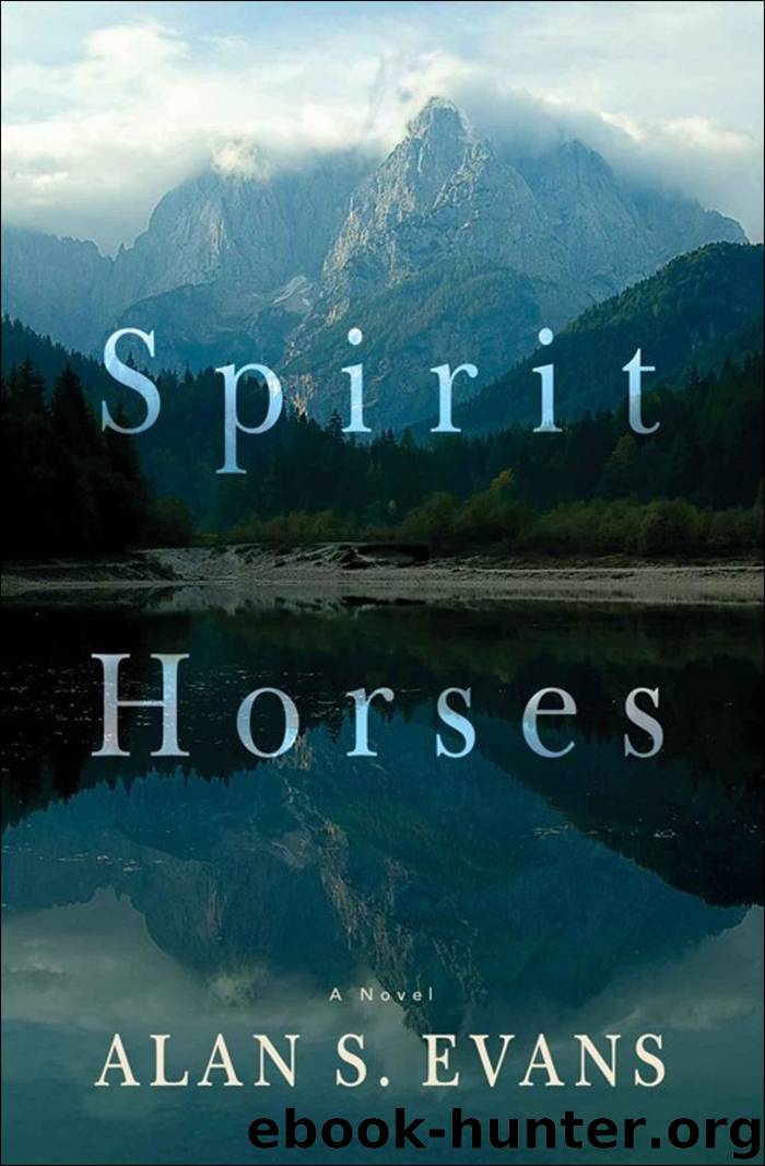 Spirit Horses by Alan S. Evans