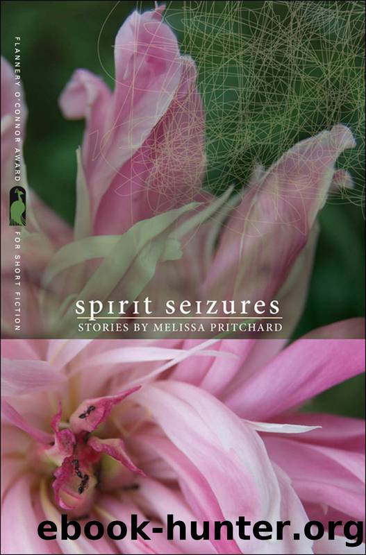 Spirit Seizures by Melissa Pritchard