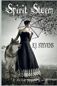 Spirit Storm by E. J. Stevens