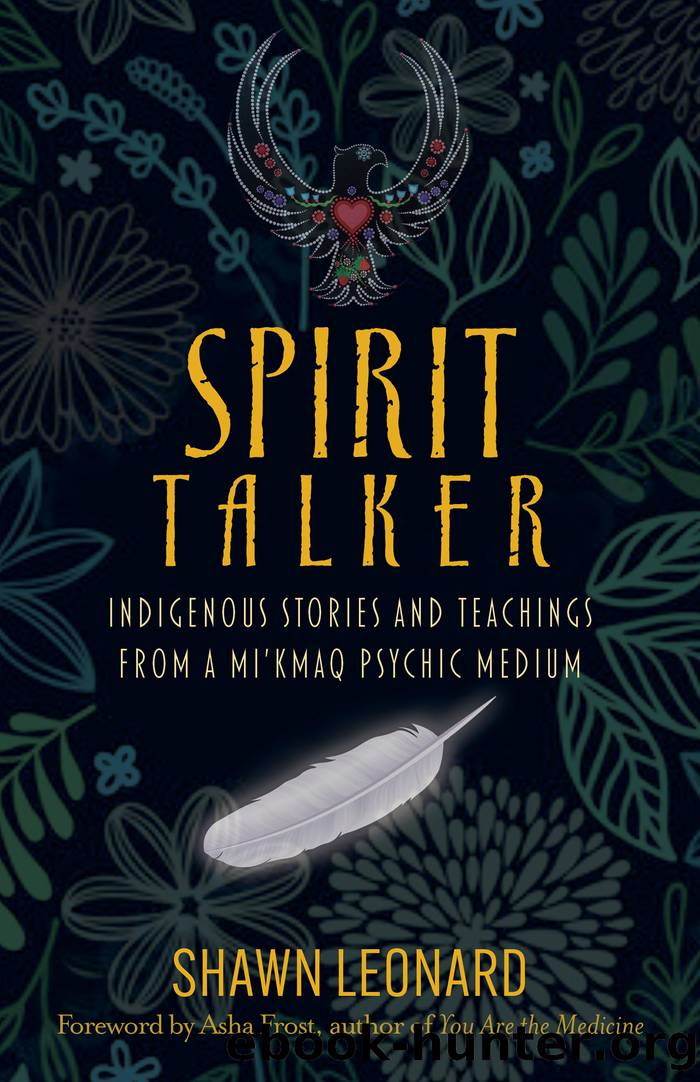 Spirit Talker: Indigenous Stories and Teachings from a Mikmaq Psychic Medium by Shawn Leonard