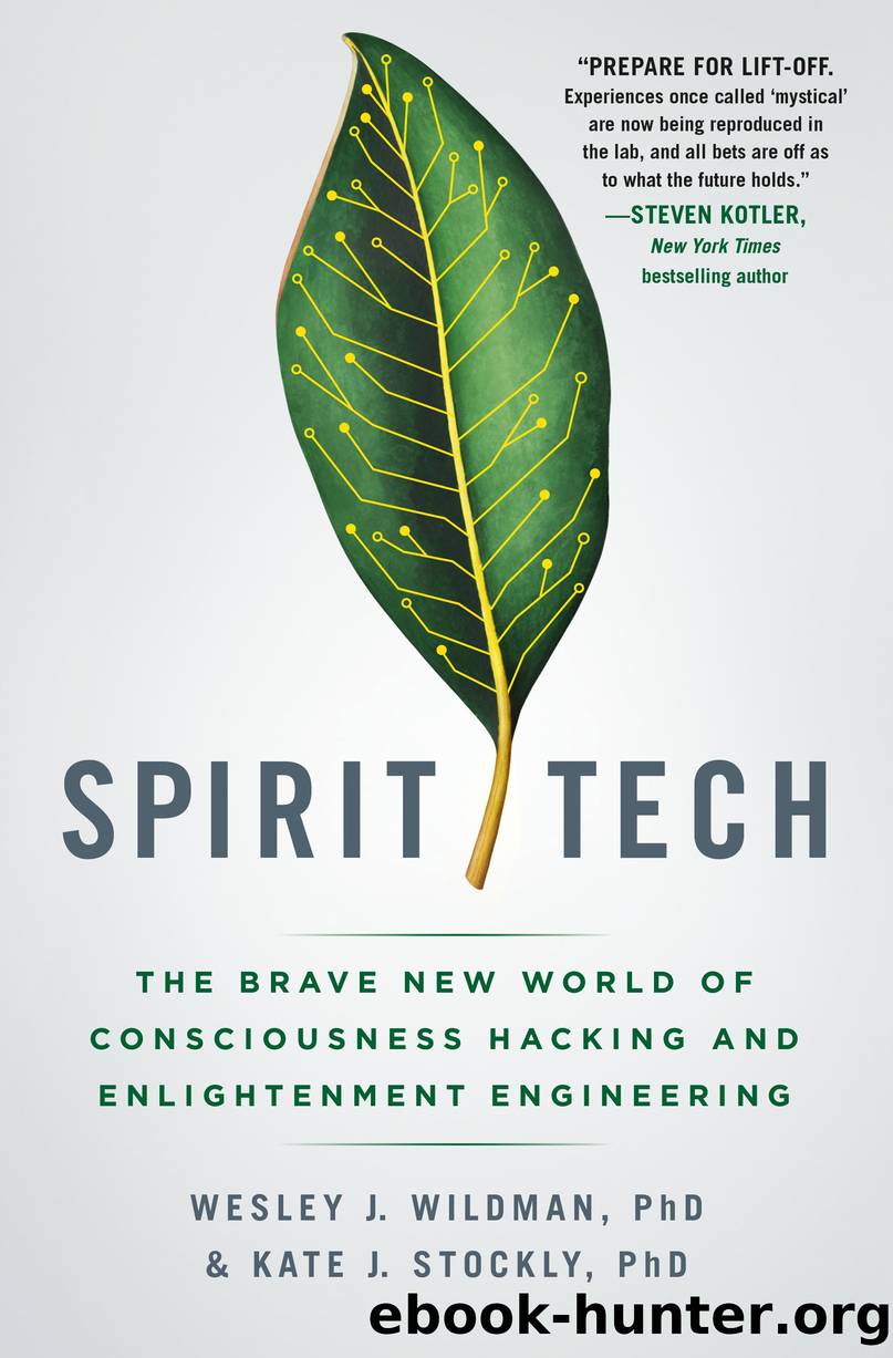 Spirit Tech by Wesley J. Wildman Ph.D