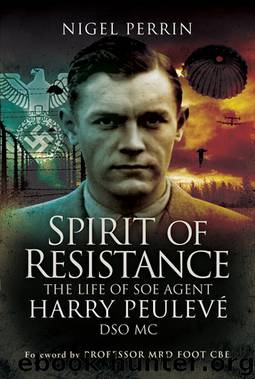 Spirit of Resistance by Nigel Perrin