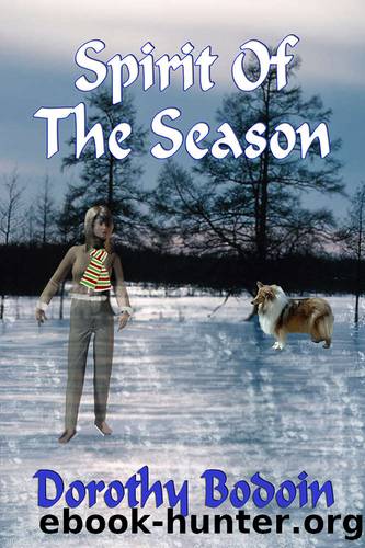 Spirit of the Season (The Foxglove Corners Series Book 10) by Dorothy Bodoin