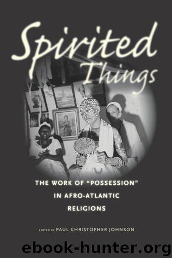 Spirited Things: The Work of "Possession" in Afro-Atlantic Religions by Paul Christopher Johnson