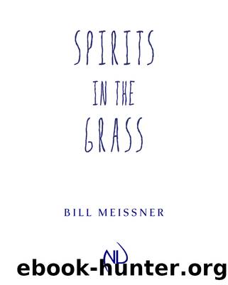 Spirits in the Grass by Bill Meissner