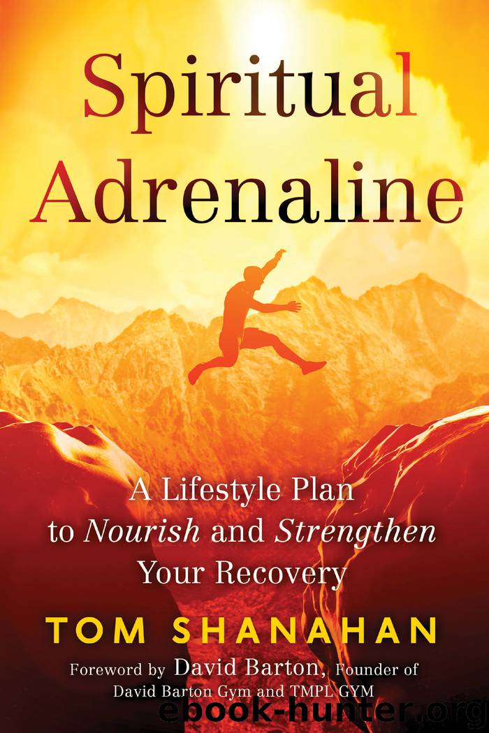 Spiritual Adrenaline by Tom Shanahan