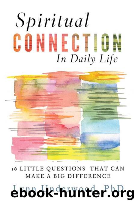 Spiritual Connection in Daily Life : Sixteen Little Questions That Can Make a Big Difference by Lynn Underwood