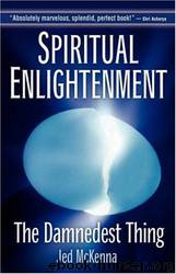 Spiritual Enlightenment - The Damnedest Thing by Jed McKenna