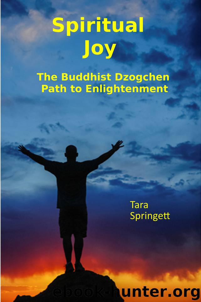 Spiritual Joy: The Buddhist Dzogchen Path to Enlightenment by Springett Tara