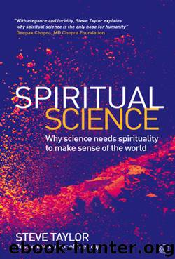 Spiritual Science by Steve Taylor
