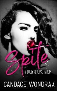 Spite_A Bully Reverse Harem by Candace Wondrak