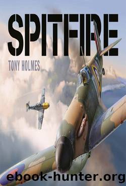 Spitfire (General Aviation) by Tony Holmes
