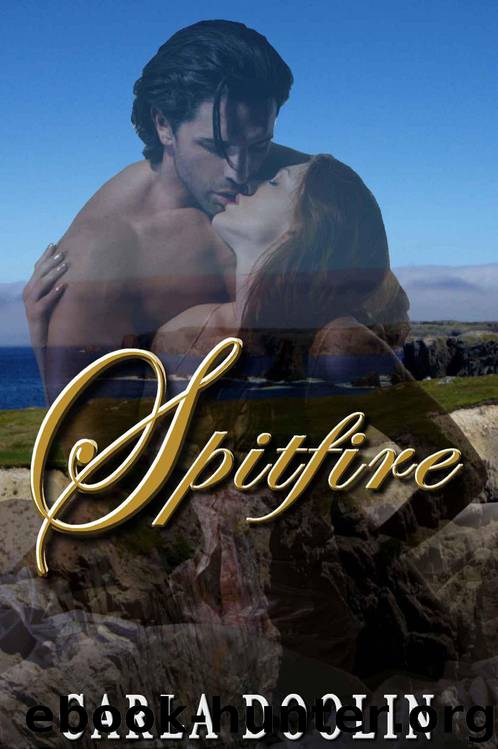 Spitfire (Puffin Cove) by Doolin Carla