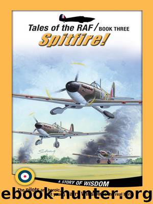 Spitfire! by Don Patterson