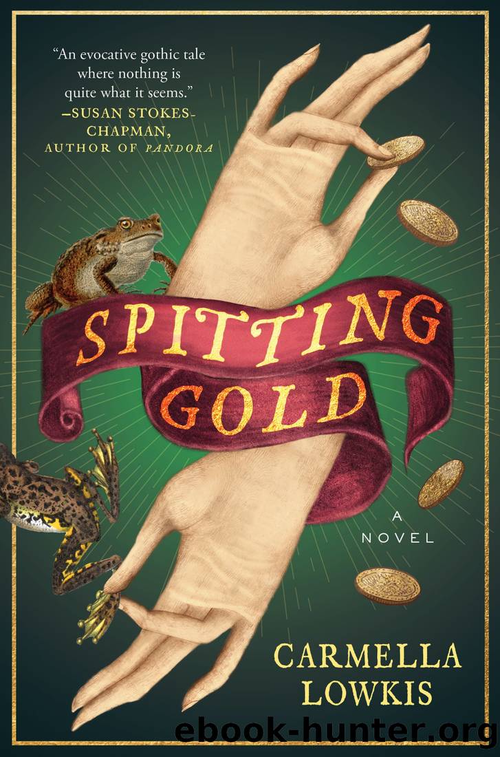 Spitting Gold by Carmella Lowkis