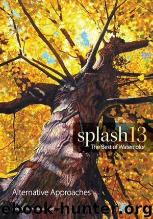 Splash 13, Alternative Approaches: The Best of Watercolor by Wolf Rachel Rubin
