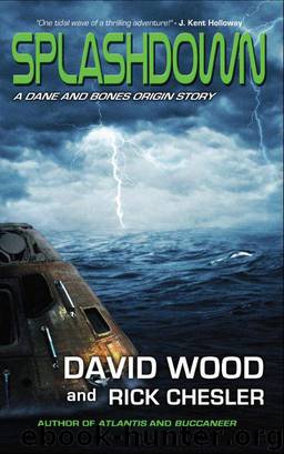 Splashdown: A Dane and Bones Origins Story (Dane Maddock Origins) (Volume 3) by David Wood & Rick Chesler