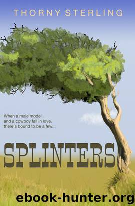 Splinters by Thorny Sterling