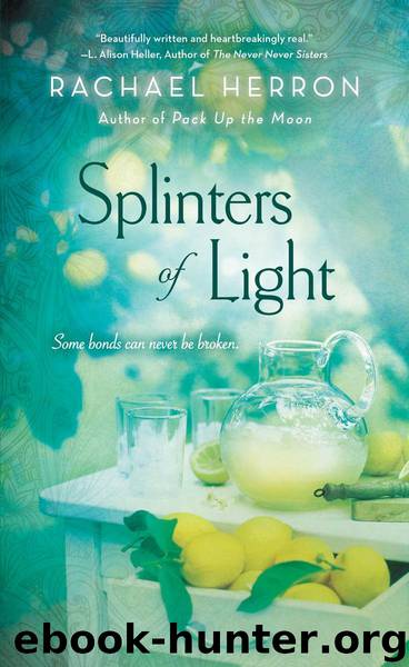 Splinters of Light by Herron Rachael