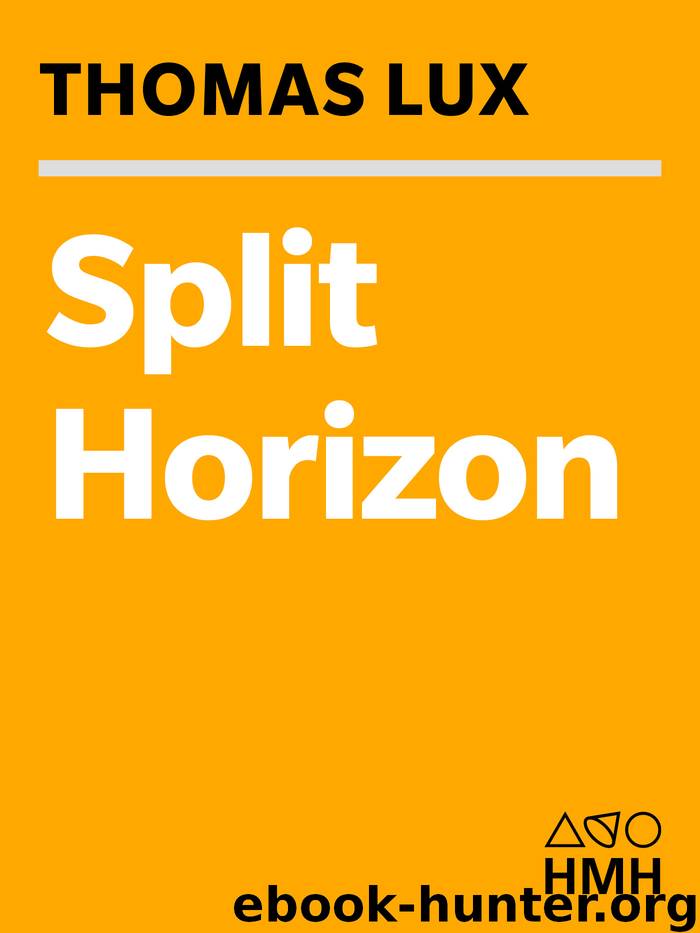 Split Horizon by Thomas Lux