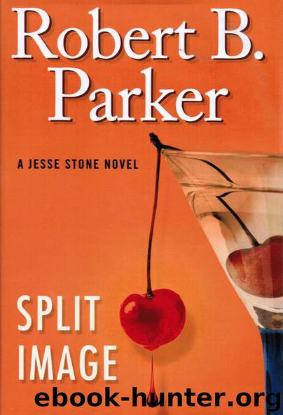 Split Image by Robert B. Parker