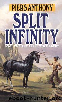 Split Infinity by Piers Anthony