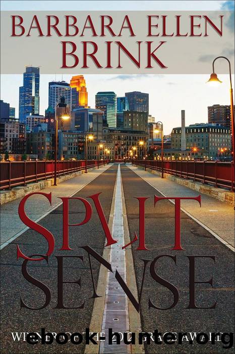 Split Sense by Barbara Ellen Brink