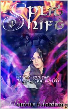 Split Shift (Abaddon Academy Book 1) by LM Wilson