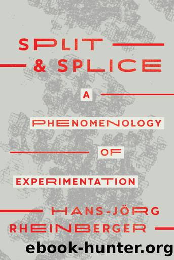 Split and Splice: A Phenomenology of Experimentation by Hans-Jörg Rheinberger