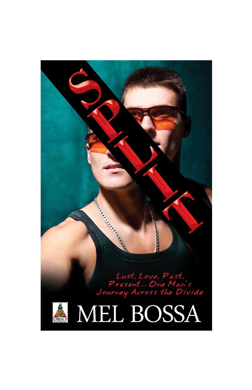 Split by Mel Bossa
