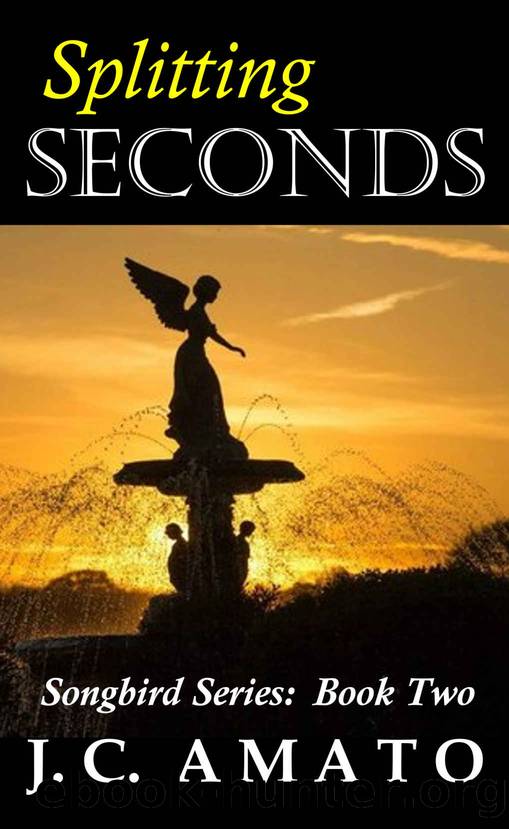 Splitting Seconds: Songbird Series: Book Two by J. C. Matheny