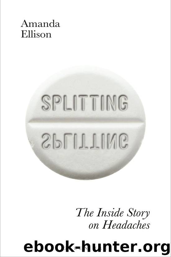 Splitting by Amanda Ellison