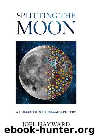 Splitting the Moon by Joel Hayward
