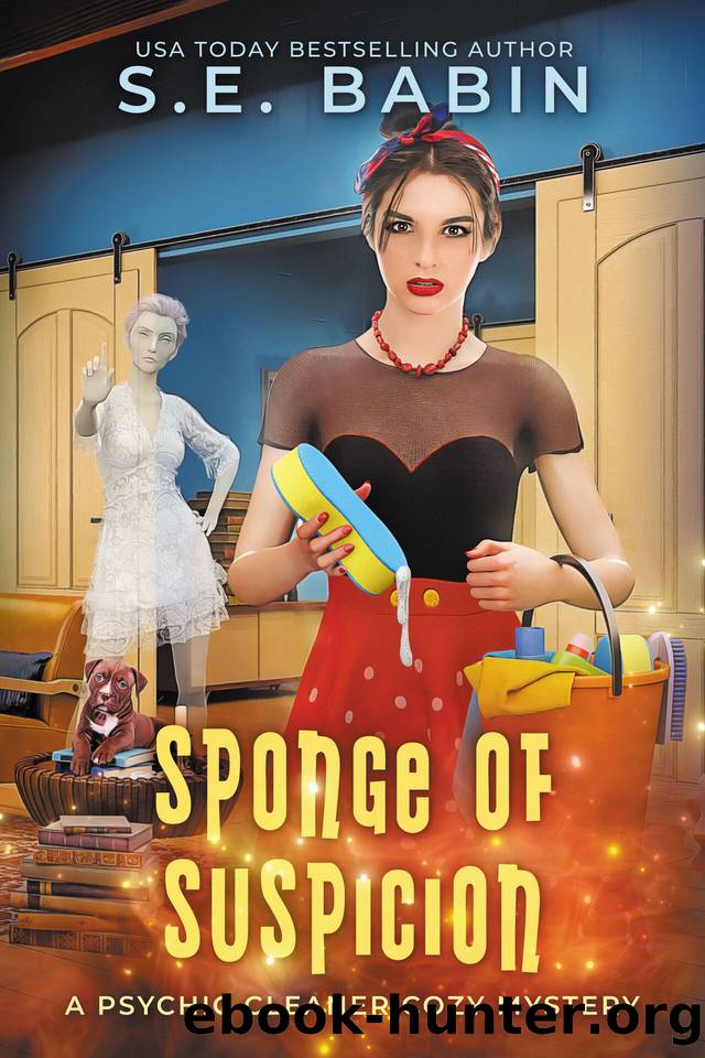 Sponge of Suspicion by S.E. Babin