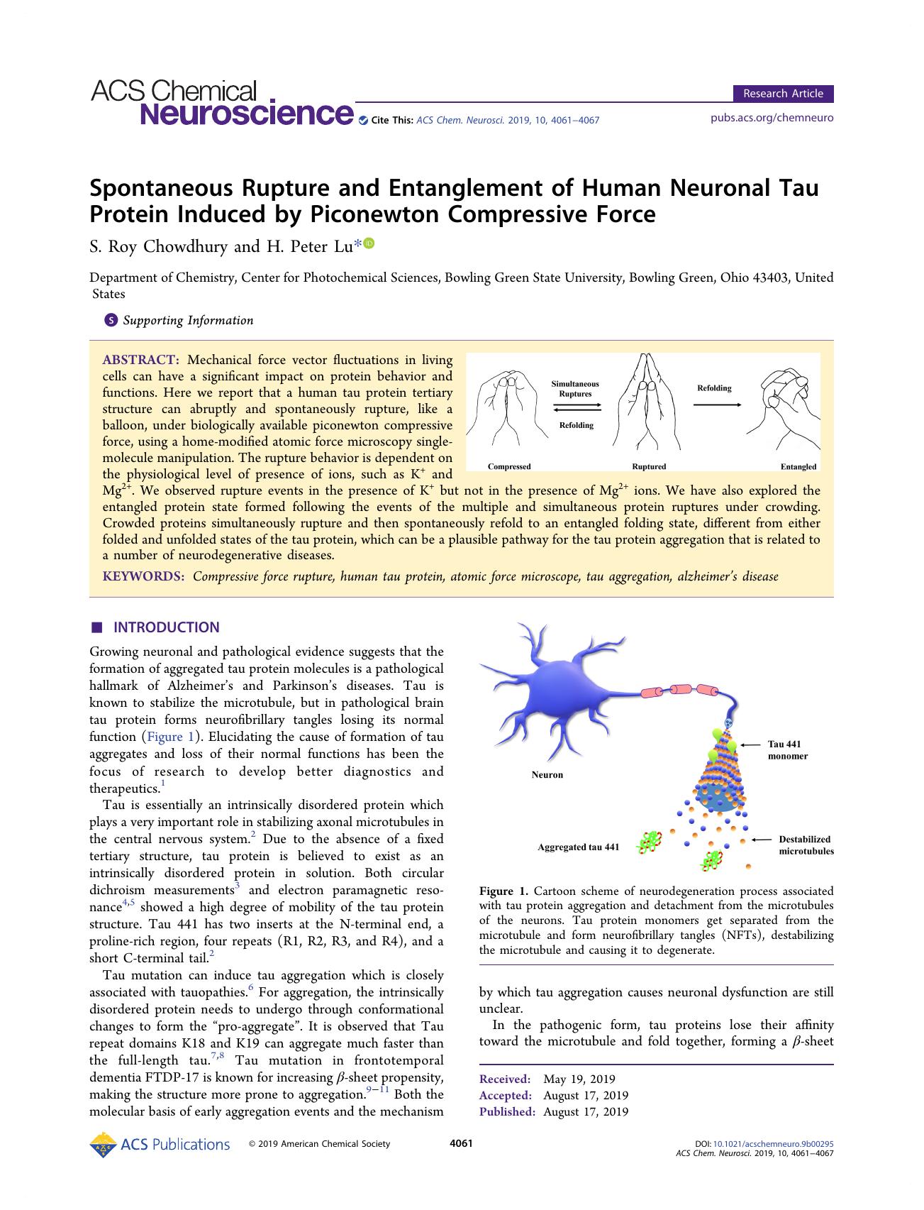 Spontaneous Rupture and Entanglement of Human Neuronal Tau Protein Induced by Piconewton Compressive Force by S. Roy Chowdhury and H. Peter Lu