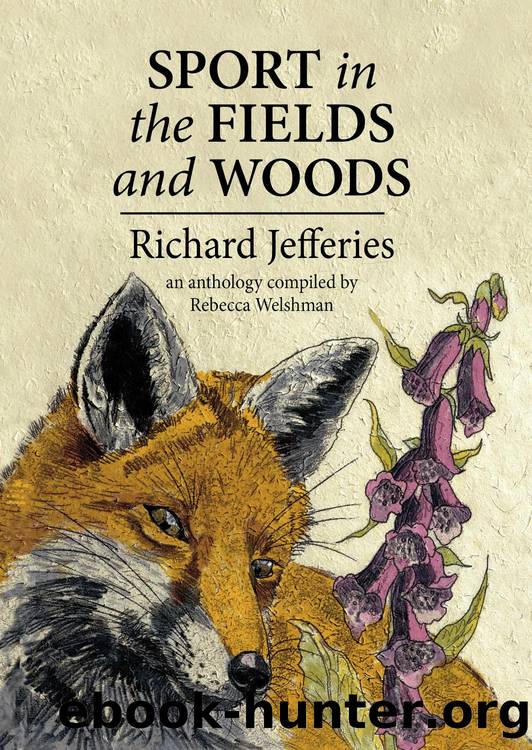 Sport in the Fields and Woods by Richard Jefferies