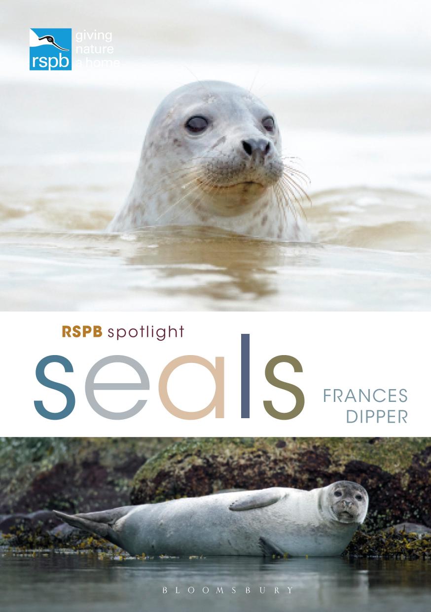 Spotlight Seals by Frances Dipper