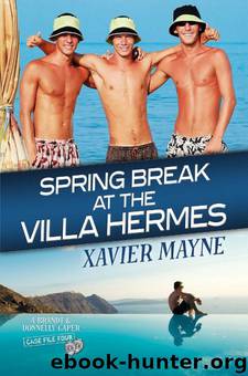 Spring Break at the Villa Hermes [Brandt & Donnelly Caper: 4] by Xavier Mayne