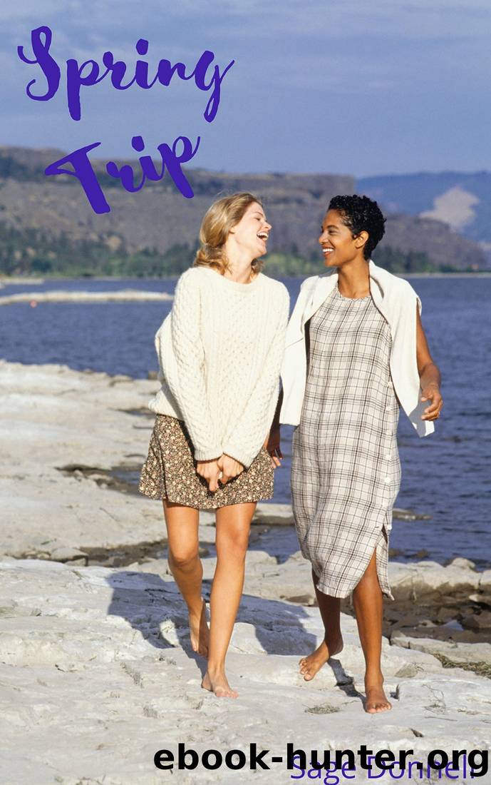 Spring Trip: A Holiday Romance Novella (Holiday Romances Book 4) by Sage Donnell