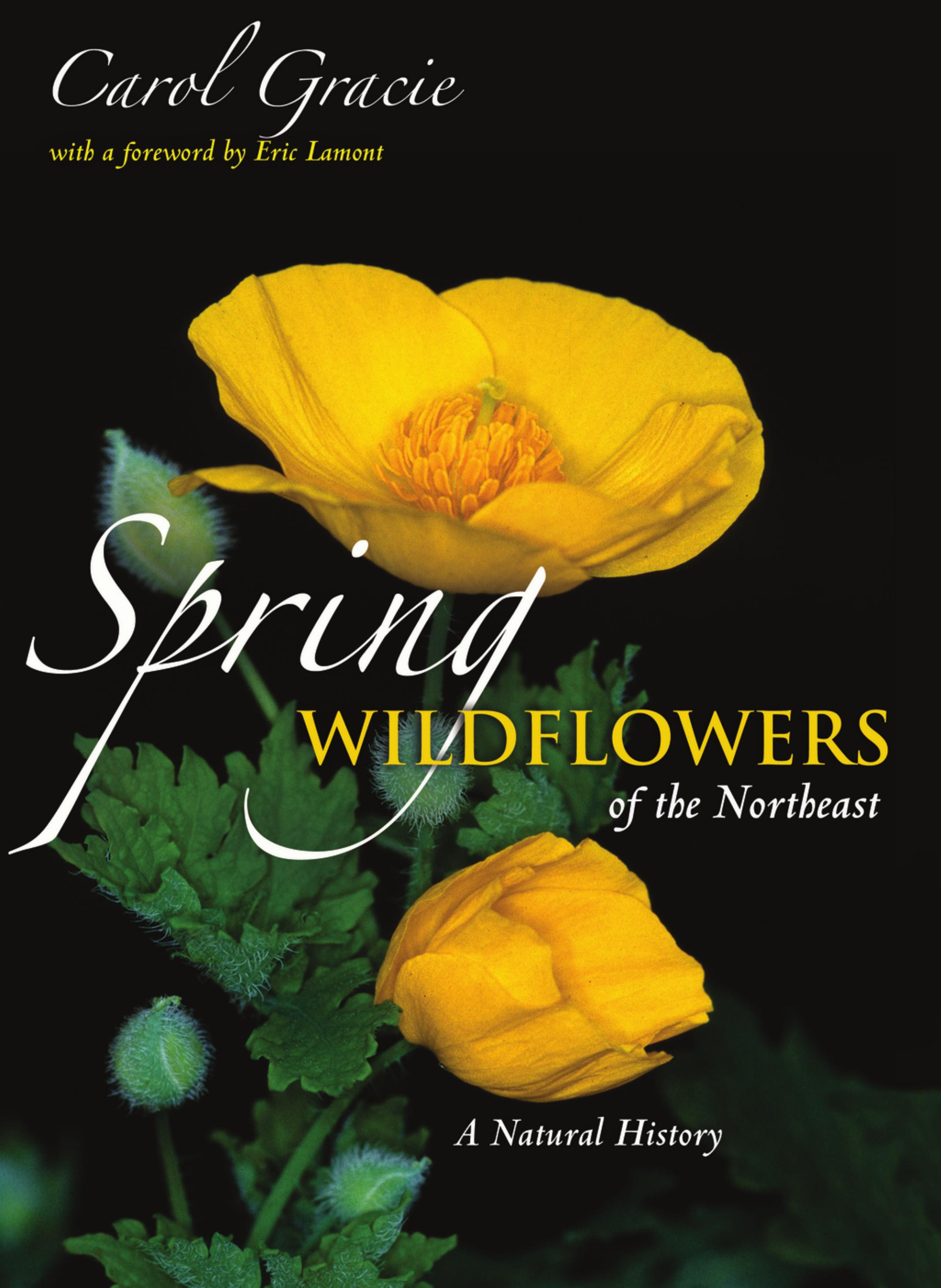 Spring Wildflowers of the Northeast: A Natural History by Carol Gracie