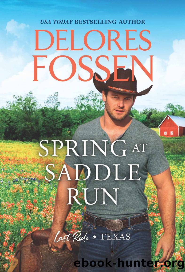 Spring at Saddle Run by Delores Fossen