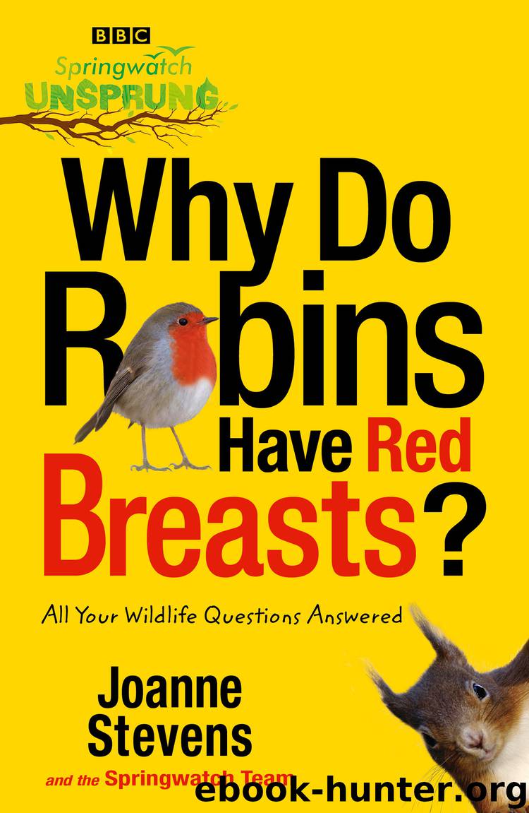 Springwatch Unsprung: Why Do Robins Have Red Breasts? by jo stevens the springwatch team