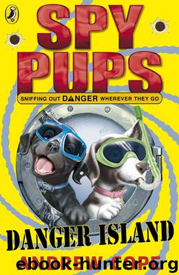 Spy Pups Danger Island by Andrew Cope