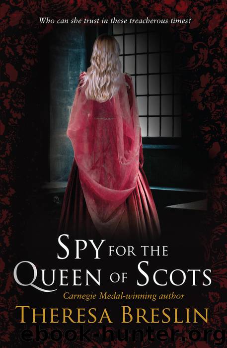 Spy for the Queen of Scots by Theresa Breslin