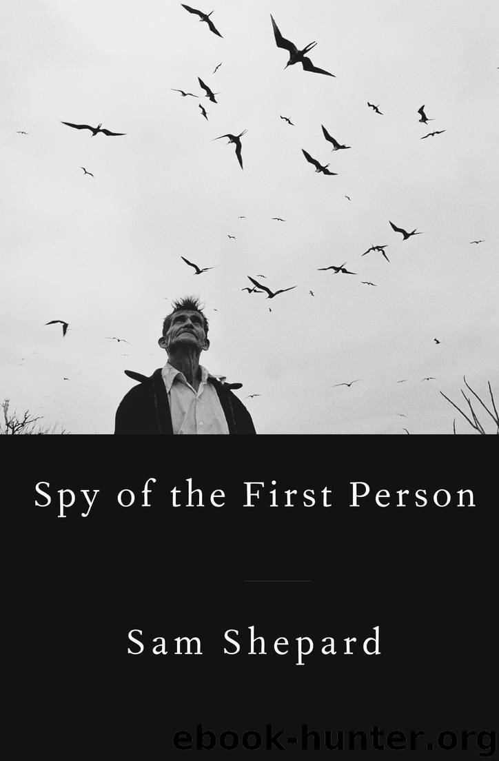 Spy of the First Person by Sam Shepard
