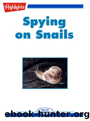 Spying on Snails by Ilil Arbel