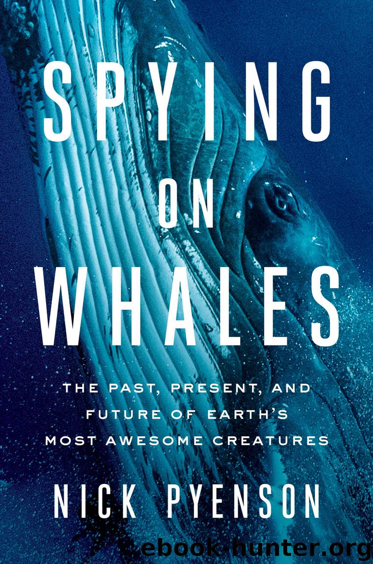 Spying on Whales by Nick Pyenson