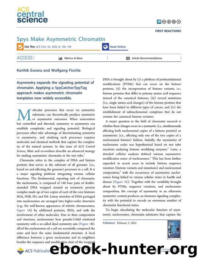 Spys Make Asymmetric Chromatin by Karthik Eswara (ORCID: g/0000-0001-7356-6361) & Wolfgang Fischle