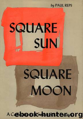 Square Sun, Square Moon: A Collection of Sweet Sour Essays by Reps Paul