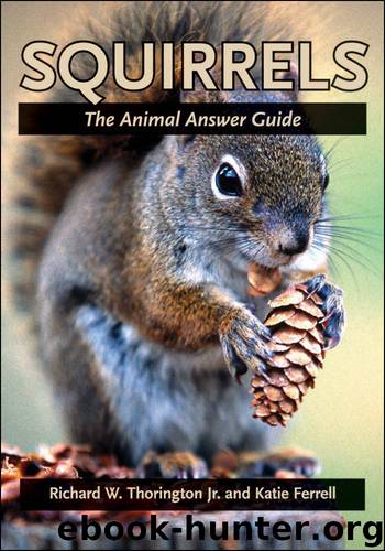Squirrels by Jr. Richard W. Thorington